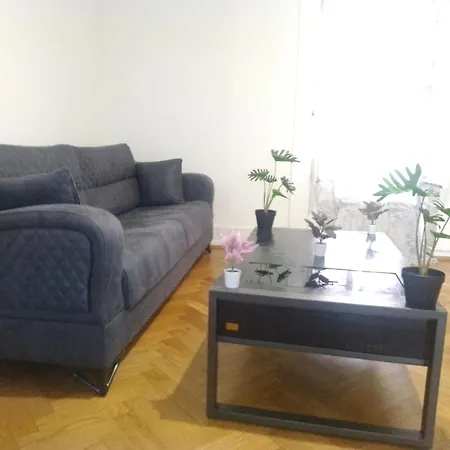 Charming Flat Center And Near The Apartment *
