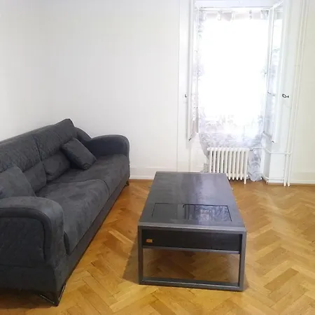 Charming Flat Center And Near The Geneva